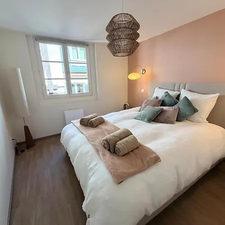 Blush - Charming 17th-century Alsatian In Lejlighed