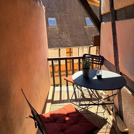 Blush - Charming 17th-century Alsatian In Appartamento
